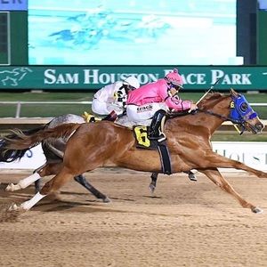 Meet your Posher, Jose